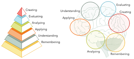 <p><span><span>Focuses on how an individual thinks and the development of knowledge and intellectual skill.(Bloom’s Taxonomy)</span></span></p>