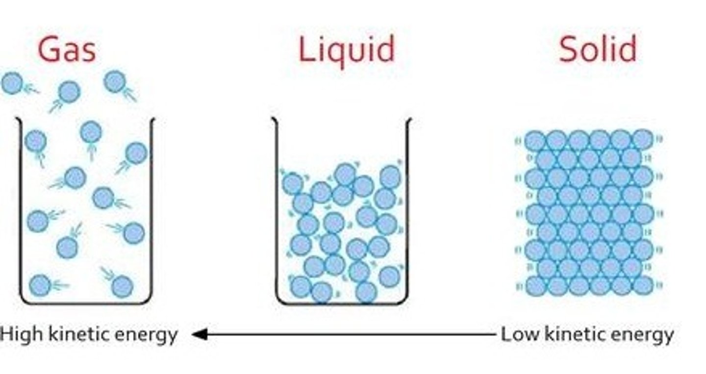 <p>a model that assumes an ideal gas is composed of tiny particles (molecules) in constant motion (1) which only experience elastic collisions (2), no attractive or repulsive forces (3), and have no volume (4)</p>