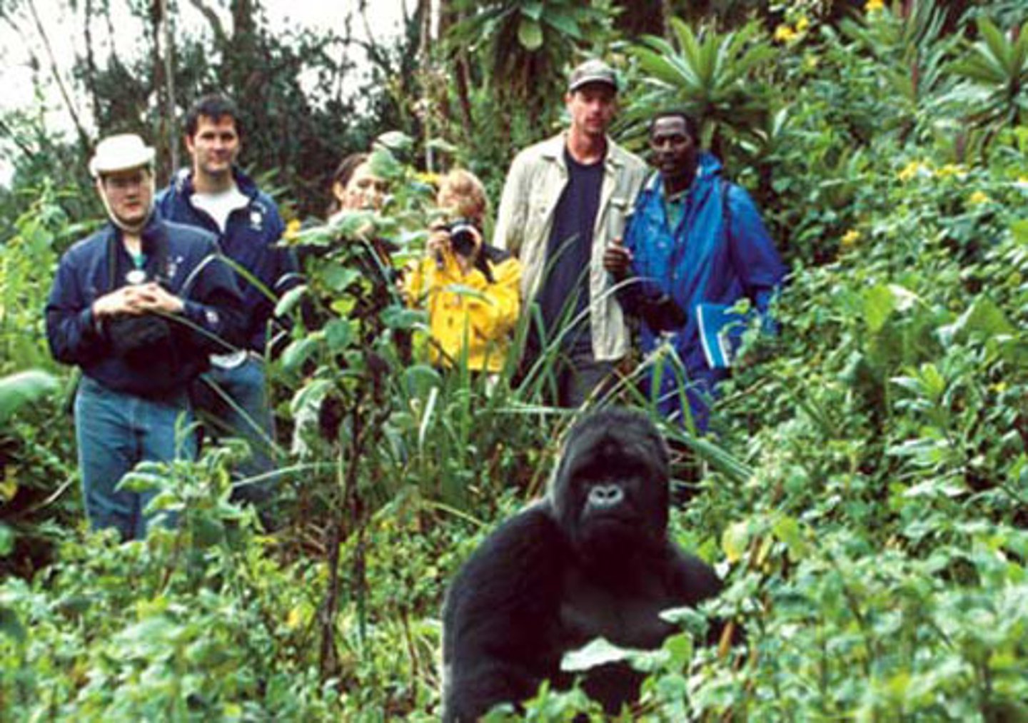 <p>The non-material benefits people obtain from ecosystems through spiritual enrichment, cognitive development, reflection, recreation, and aesthetic experience (walking, hiking, biking, and playing sports in green spaces; tourism; inspiration for art, culture, and design; spiritual experiences; etc</p>