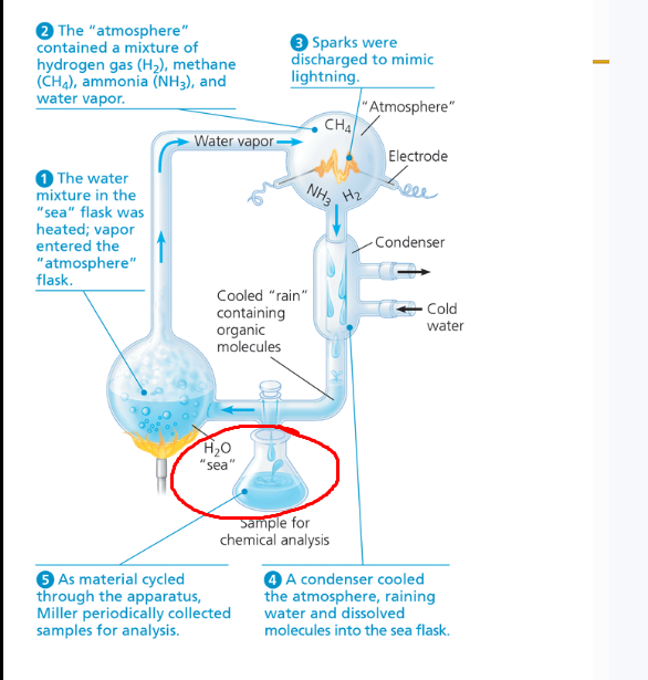 <p>What was collected</p>