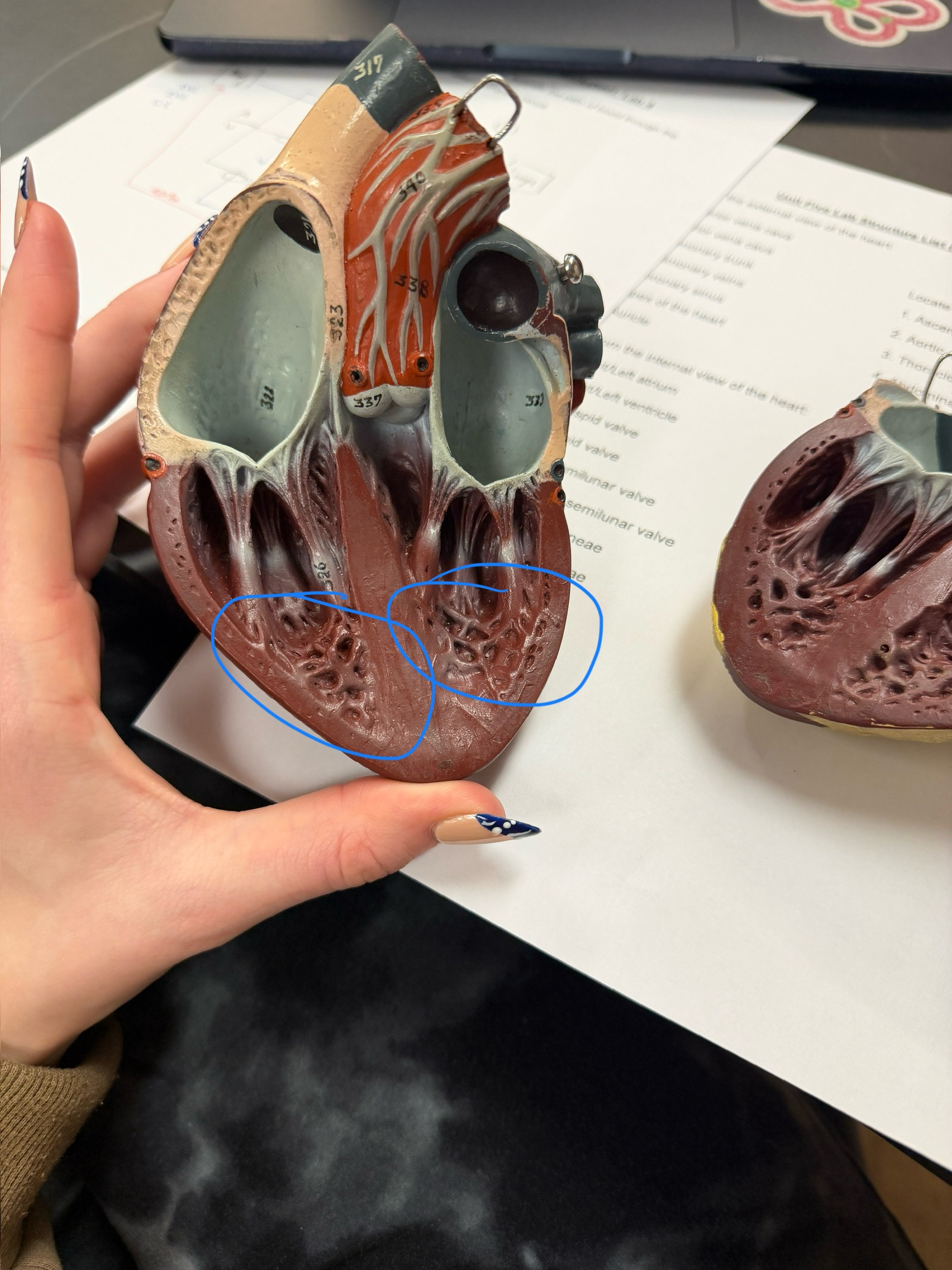 <p>name this structure</p>