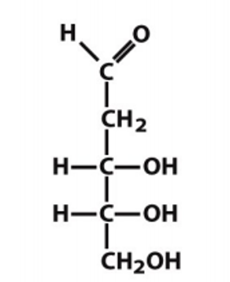 <p>aldopentose</p>