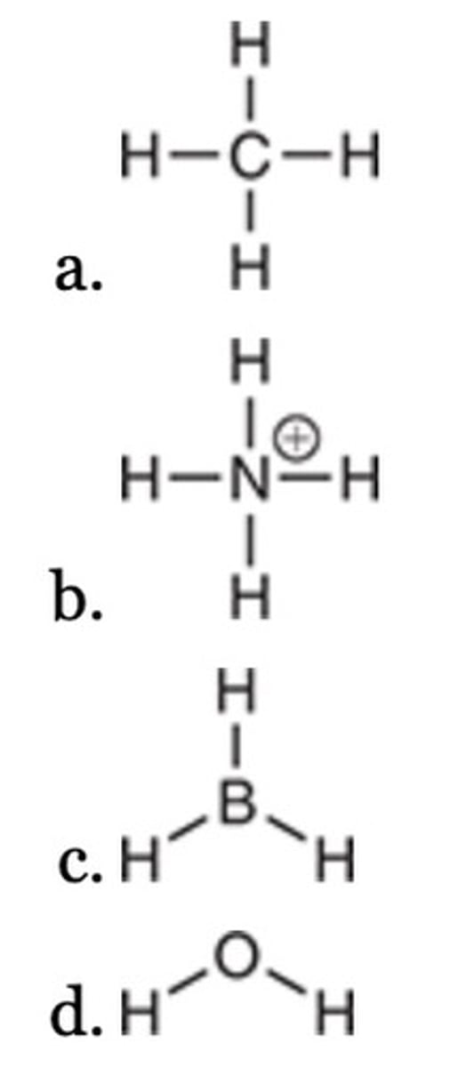 <p>Which of the following can serve as a nucleophile?</p>