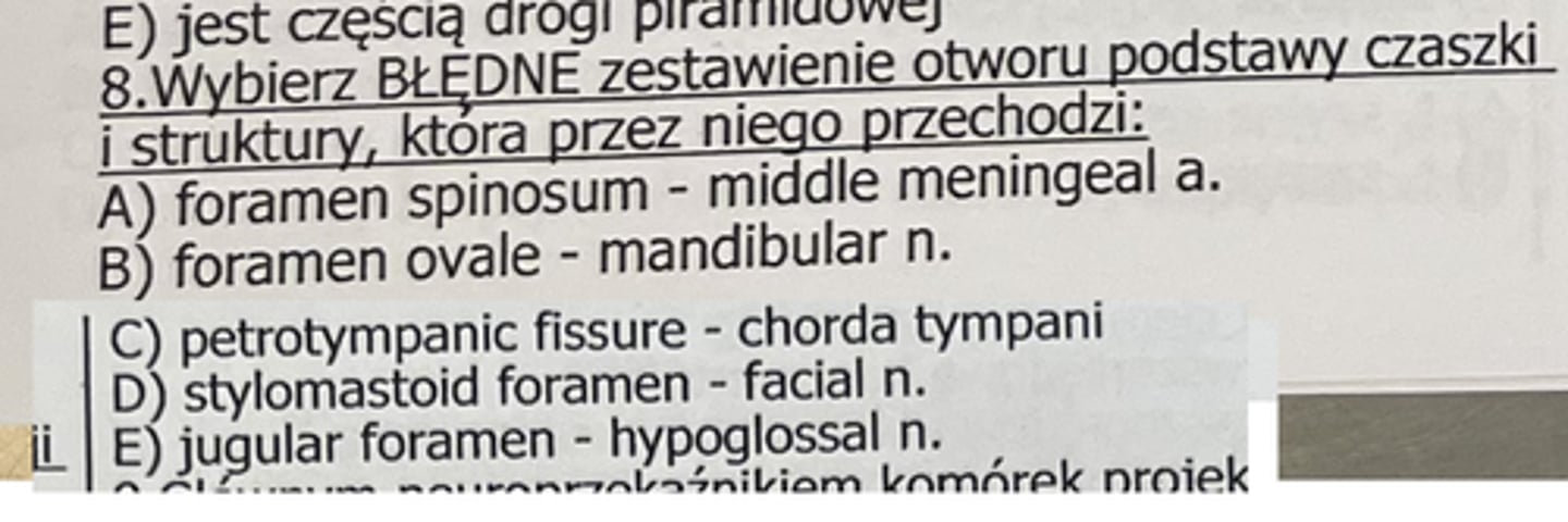 <p>8</p><p>Dół przedni czaszki</p><p>🔸 Otwory blaszki sitowej</p><p>➡️ Nerwy węchowe (I)</p><p>🔸 Otwór sitowy przedni</p><p>➡️ Tętnica, żyła i nerw sitowy przedni</p><p>Dół środkowy czaszki</p><p>🔸 Kanał nerwu wzrokowego</p><p>➡️ Nerw wzrokowy (II)</p><p>➡️ Tętnica oczna</p><p>🔸 Szczelina oczodołowa górna</p><p>➡️ Nerw okoruchowy (III)</p><p>➡️ Nerw bloczkowy (IV)</p><p>➡️ Nerw oczny (V1 - gałąź nerwu trójdzielnego)</p><p>➡️ Nerw odwodzący (VI)</p><p>➡️ Żyła oczna górna</p><p>➡️ Włókna współczulne ze splotu jamistego</p><p>🔸 Otwór okrągły</p><p>➡️ Nerw szczękowy (V2)</p><p>🔸 Otwór owalny</p><p>➡️ Nerw żuchwowy (V3)</p><p>➡️ Gałąź oponowa tętnicy szczękowej</p><p>➡️ Nerw skalisty mniejszy</p><p>🔸 Otwór kolcowy</p><p>➡️ Tętnica i żyła oponowa środkowa</p><p>➡️ Gałąź oponowa nerwu żuchwowego</p><p>🔸 Otwór poszarpany</p><p>➡️ Nerw skalisty większy</p><p>➡️ Nerw skalisty głęboki</p><p>➡️ Tętnica szyjna wewnętrzna leży nad, ale nie przechodzi przez otwór!</p>