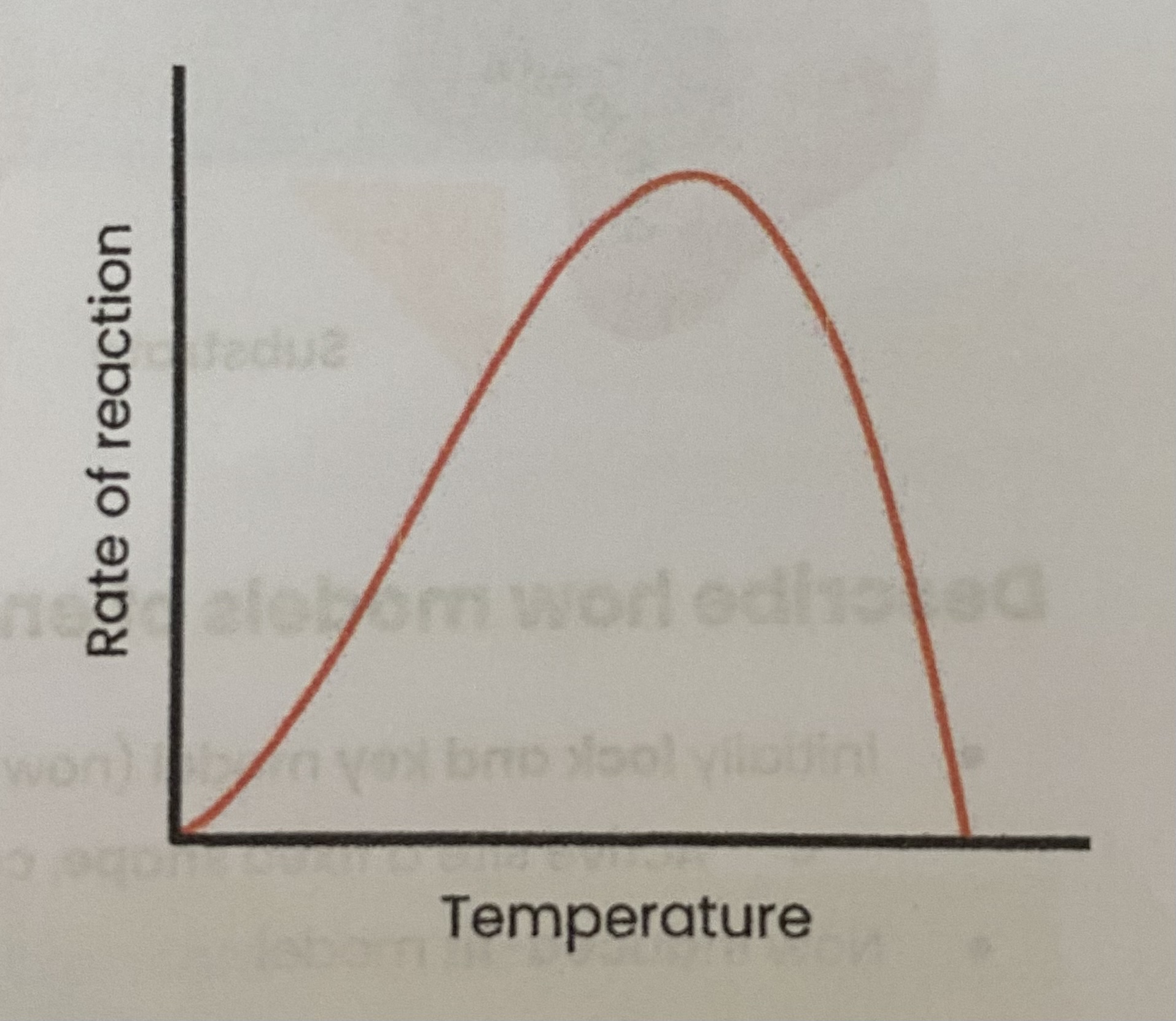 <ul><li><p>As temp increases, rate of reaction <strong>increases</strong></p><p>&gt; more <strong>kinetic energy</strong></p><p>&gt; so more <strong>E-S complexes </strong>form</p></li><li><p>As temp increases <strong>above optimum</strong>, rate of reaction <strong>decreases</strong></p><p>&gt; enzymes <strong>denature</strong>- <strong>tertiary </strong>structure and <strong>active sites change shape </strong></p><p>&gt; as <strong>hydrogen/ ionic bonds break</strong></p><p>&gt; so active site <strong>no longer complementary</strong></p><p>&gt; so fewer <strong>E-S complexes </strong>form </p></li></ul><p></p>