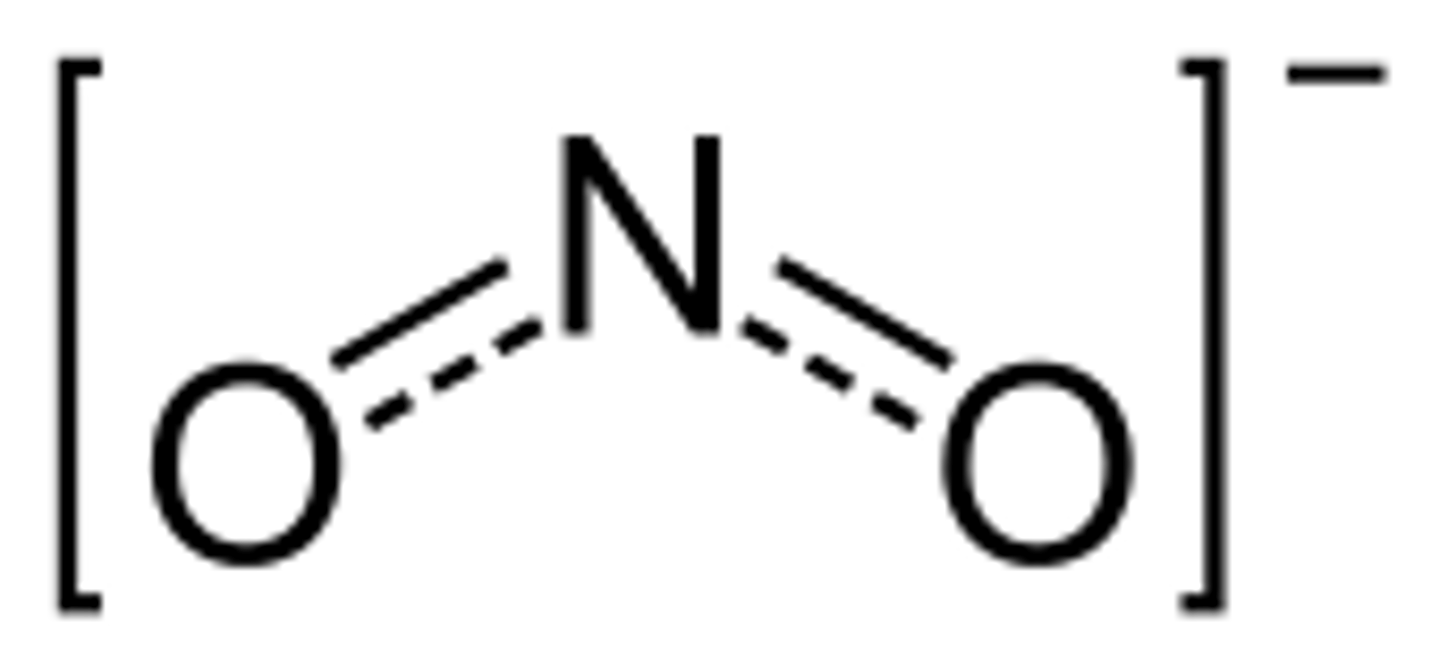 <p>NO2- can be used by producers to make proteins and nucleic acids.</p>