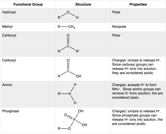 <p>components of organic molecules most often involved in chemical reactions</p>