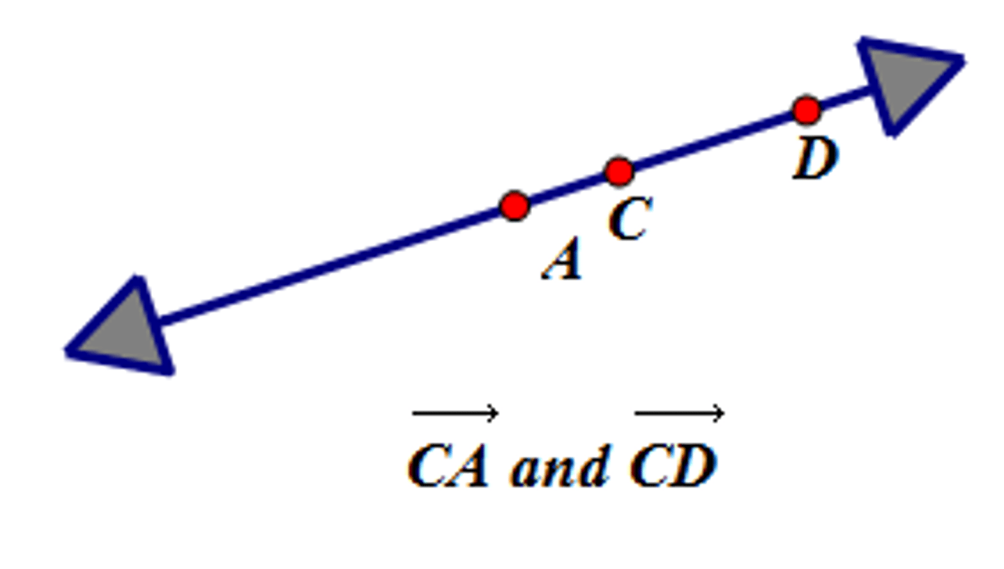 <p>two rays that have a common endpoint and form a line</p>
