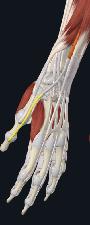 <p>What is highlighted</p>