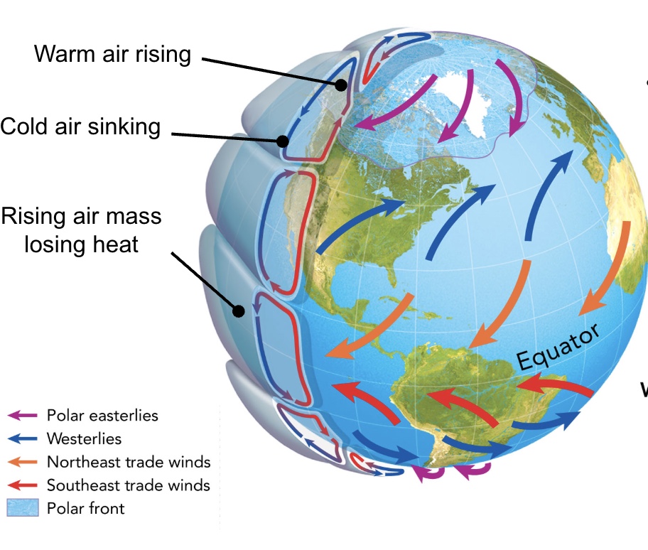 <p>Wind current is caused by heat being unequally distributed across the atmosphere. Earth’s rotation causes winds to move east to west in the temperate zones and west to east in the tropical/polar zones</p>