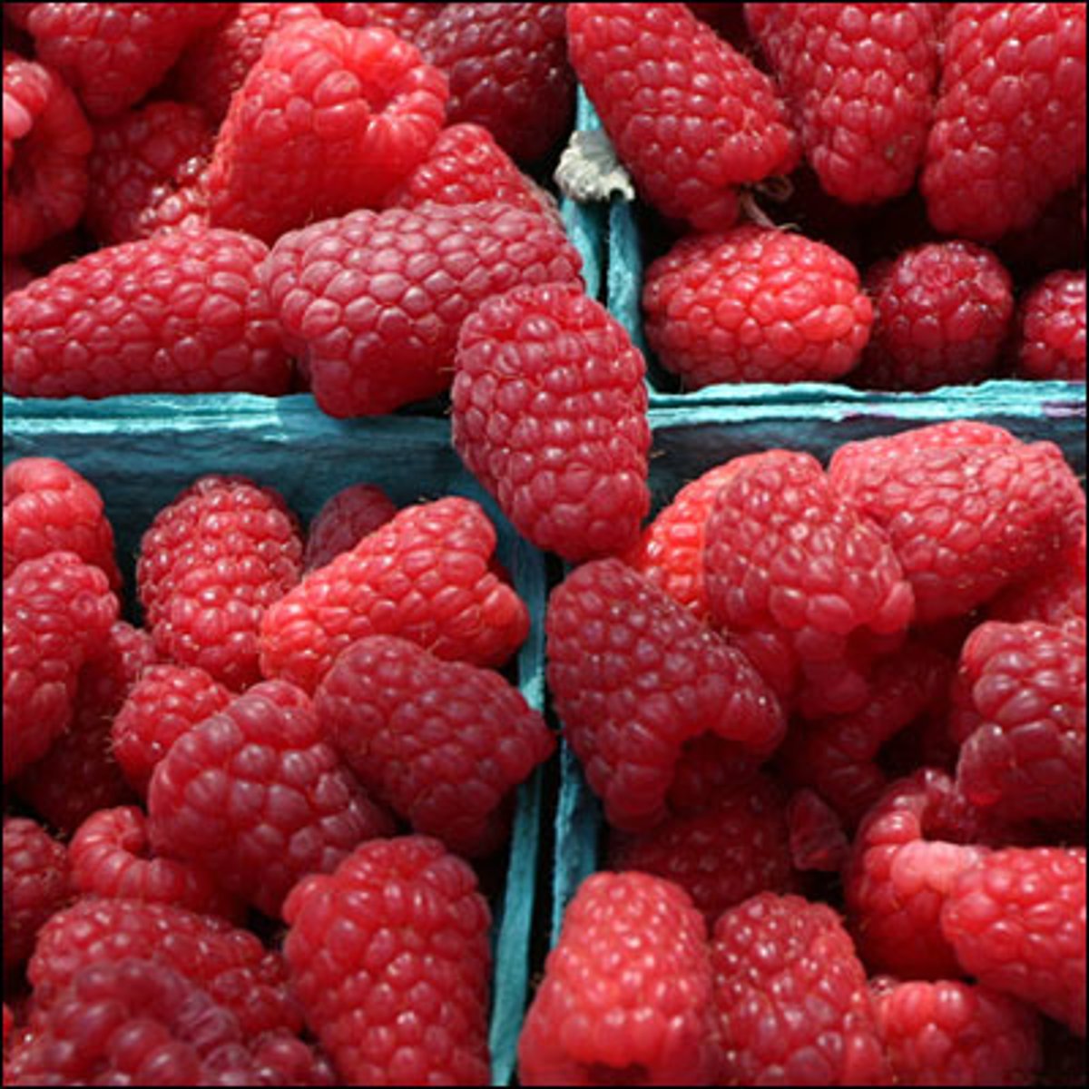 <p>raspberry</p>