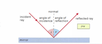 <p><strong>Angle of incidence = angle of reflection</strong></p>