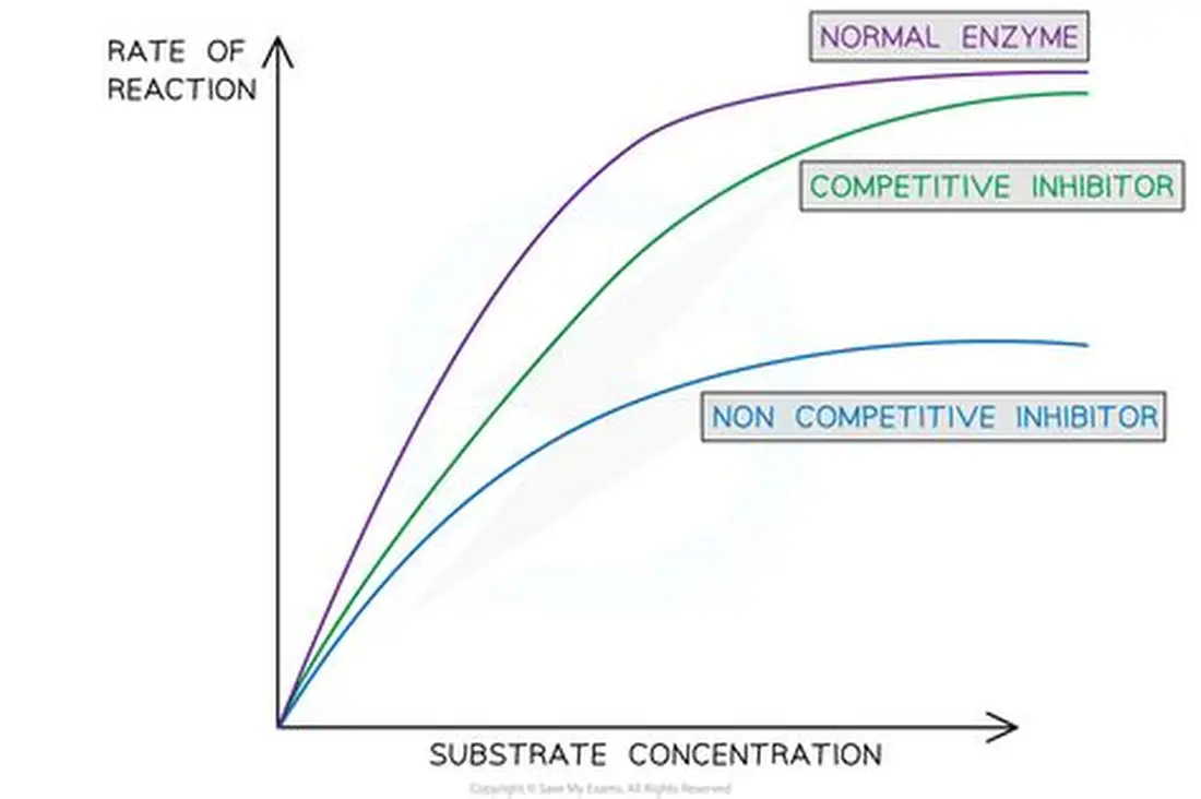 <p>Non-competitive inhibitors</p>