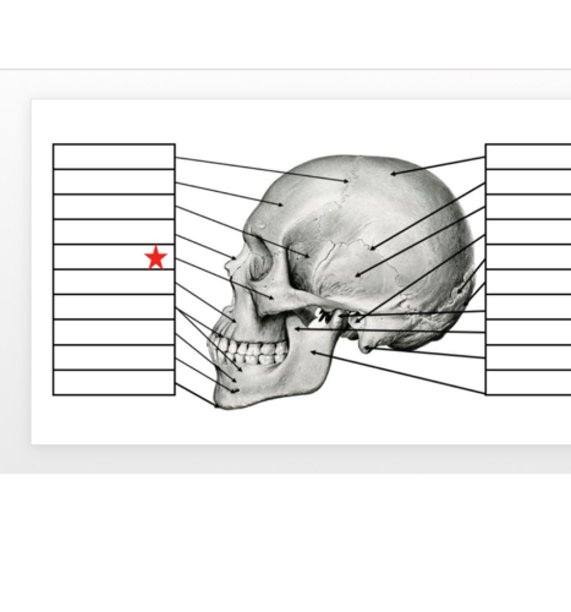 <p>What is this?</p>