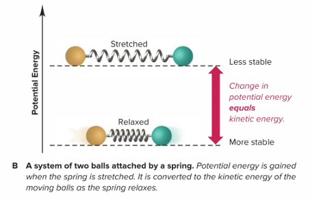 <p>An example would be a<strong> system of two balls attached by a spring.</strong></p><p><strong> </strong>The potential energy <strong>gained </strong>by a stretched spring is <strong>converted </strong>to kinetic energy when the moving balls are released.</p>