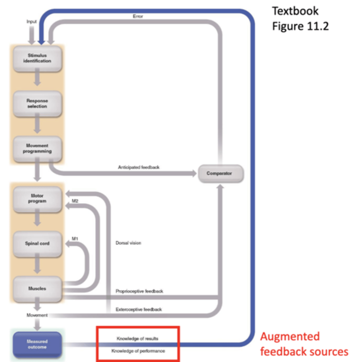 <p>measured outcome.</p>