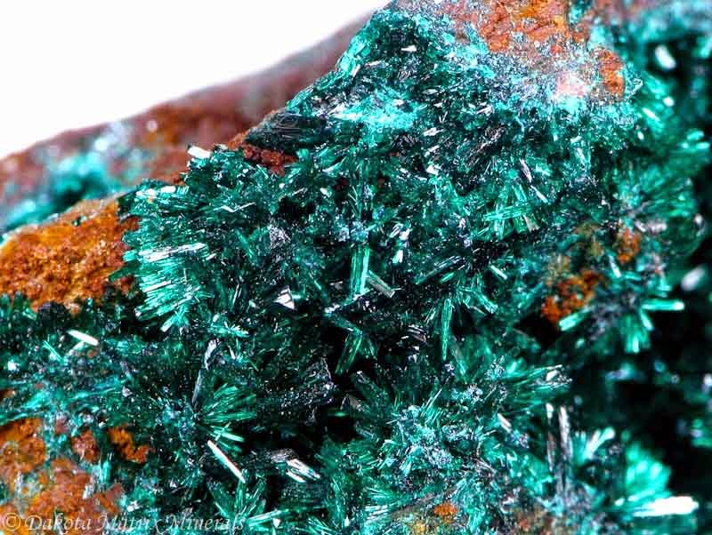 <p>Fíjate si ves <strong>costras o "mechones"</strong> de <strong>color verde esmeralda a verde muy oscuro (casi negro)</strong>, formados por muchísimas agujas diminutas y apretadas que le pueden dar un aspecto <strong>aterciopelado o fibroso</strong>.</p>