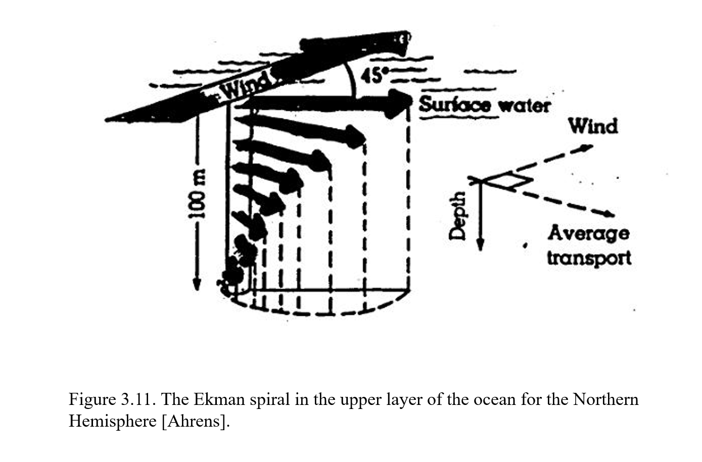 <p>Ekman transport – wind stress on the upper layer of water causes it to move to the <strong>right </strong>(left) of the wind in the NH (SH), causing coastal upwelling on the west coasts of continents</p>