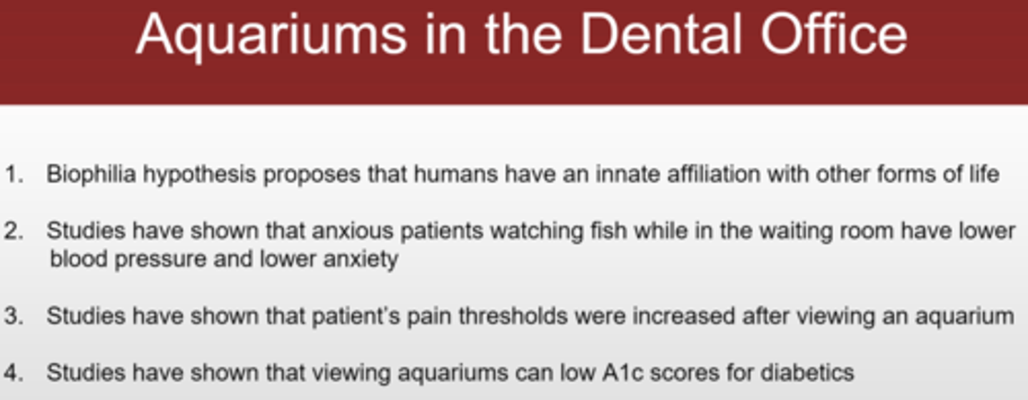 <p>E. ALL OF THE ABOVE</p><p>Let's be clear. Viewing aquariums in a dental office DOES NOT lower A1c levels!!! Clearly Dr. Shoen does not know what an A1c level is or what it indicates. But since he said in class that looking at aquariums can lower A1c, you should put that answer on the test. But remember that in real life it is not true!</p>