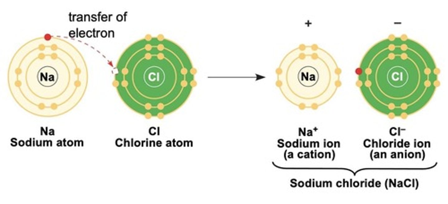 <p>The combination of sodium and chlorine to form sodium chloride, which is edible.</p>