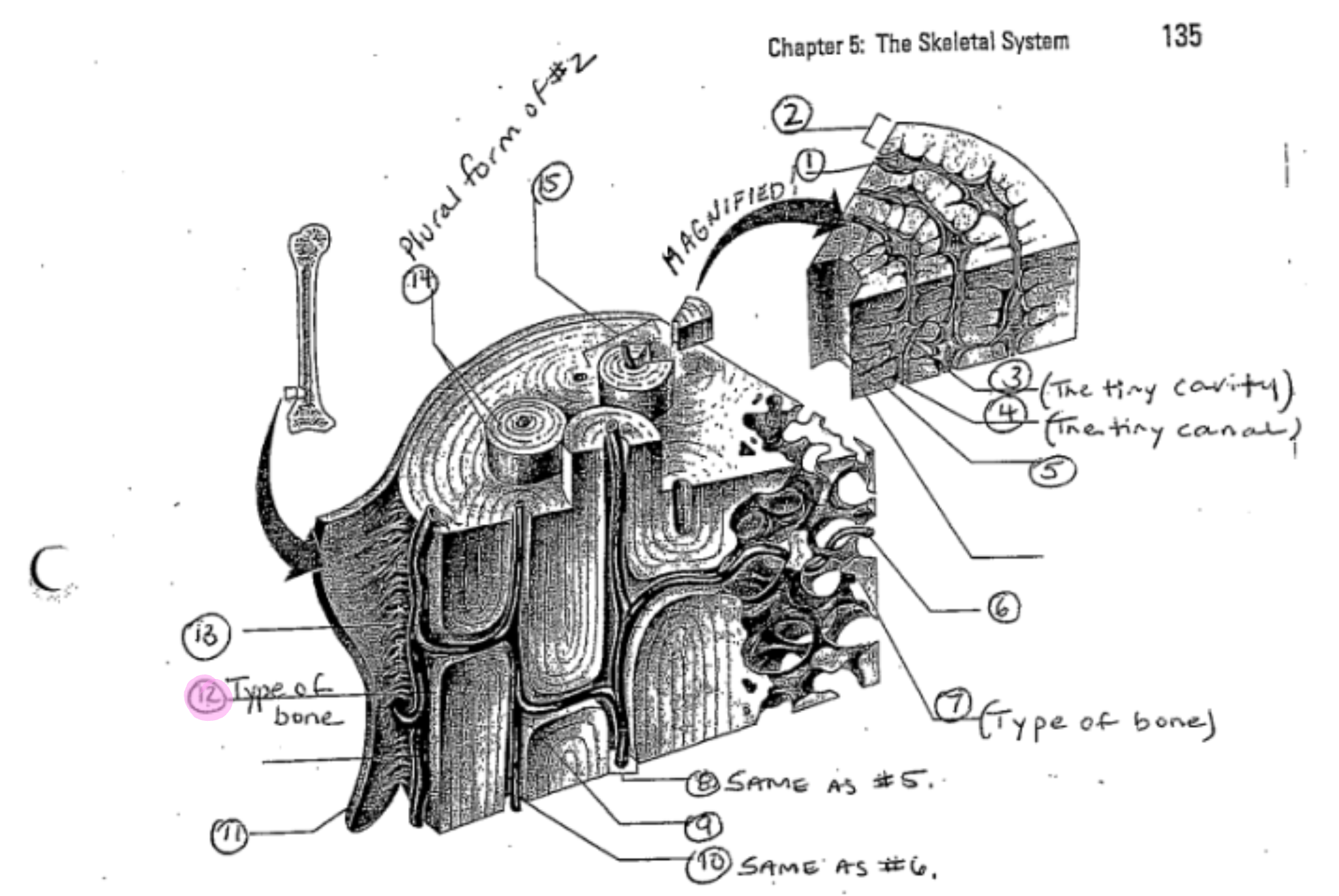 term image