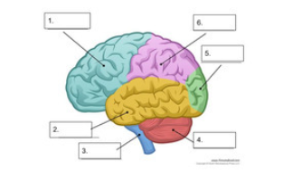 <p>what is number 3 </p>