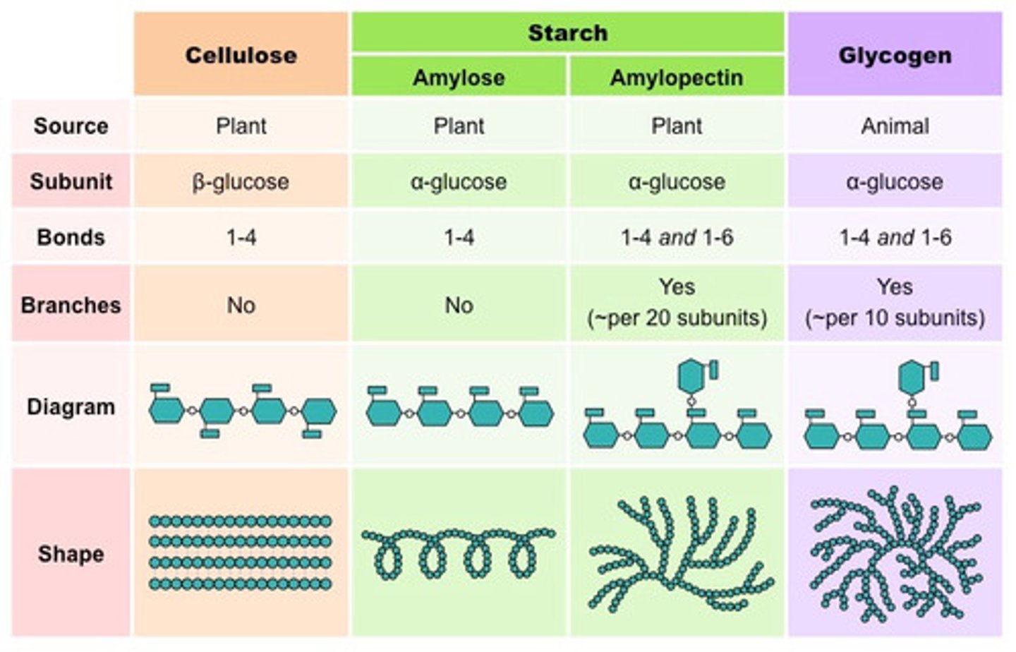 <p>1. Provide energy: Cells extract energy from glucose by breaking them down in a series of reactions called cellular respiration (the carbon skeletons serve as raw materials for the synthesis of other small organic molecules and sugars not used in these ways are generally incorporated as monomers into disaccharides and polysaccharides).</p><p>2. Build macromolecules: Sugar molecules that are not immediately used to provide and store energy are generally incorporated as monomers on disaccharides or polysaccharides.</p><p>3. Structure (building material): Organisms build strong materials from structural polysaccharides.</p><p>4. Storage material: Both plants and animals store sugars for later use.</p>