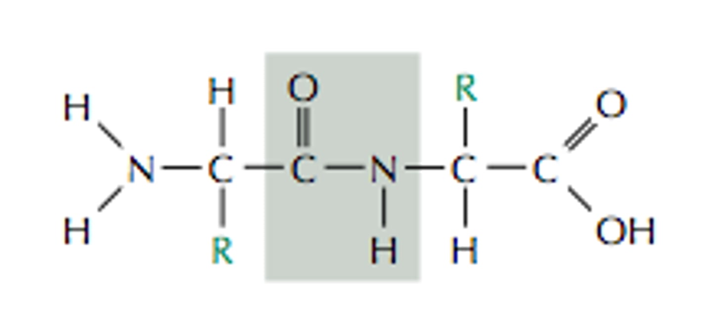 <p>Condensation reaction</p>