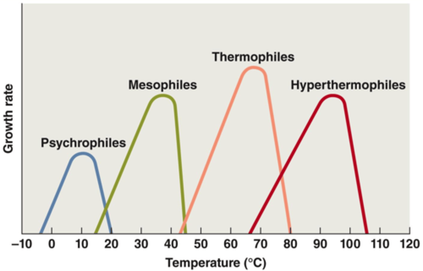 <p>bacteria that grow at moderate temperatures- our body temp included</p>