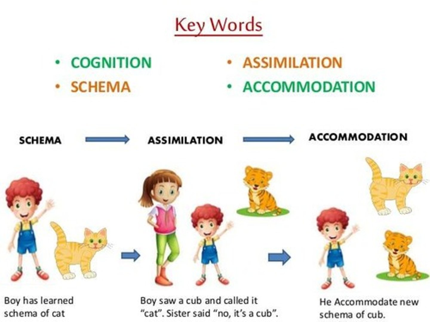 <p>Modifying schemas to fit new experiences.</p>