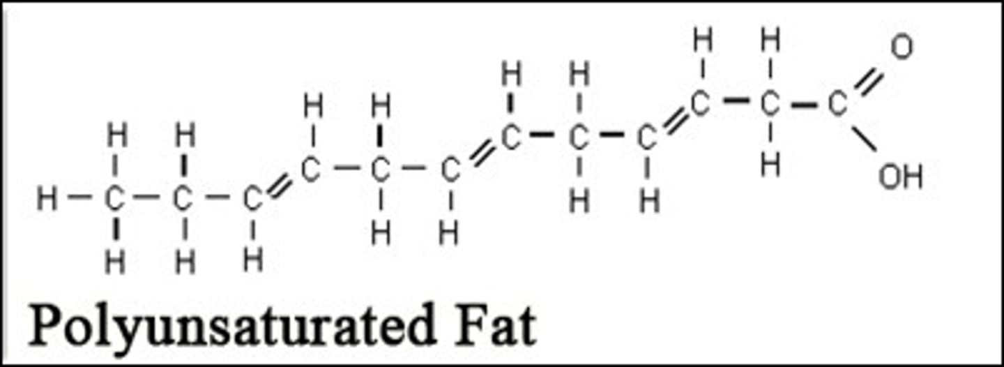 <p>Contain two or more carbon to carbon double bonds</p>