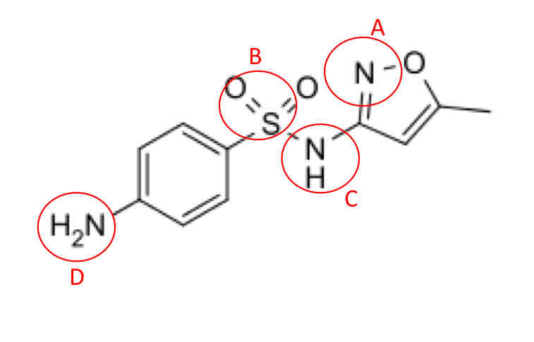 <p>Which functional group of Sulfamethoxazole undergoes acetylation? </p>