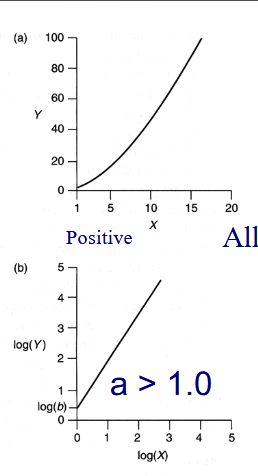 <p>Y increases at a faster rate than X</p>