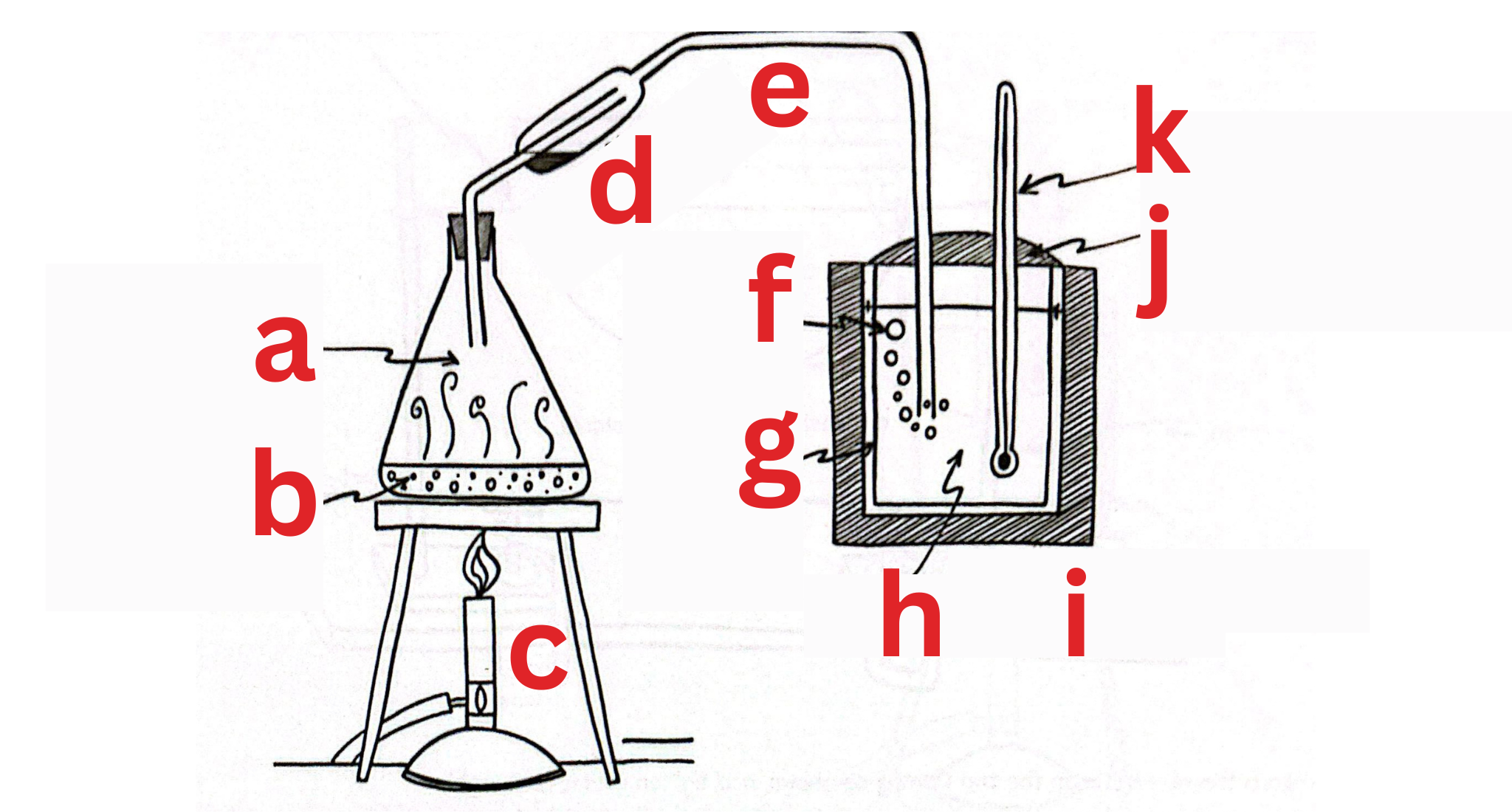 <p>Label This Diagram</p>