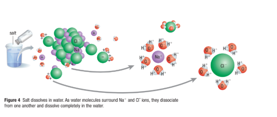 <ul><li><p><span>Water molecules are small and very polar&nbsp;</span></p></li><li><p><span>They surround other polar and charged molecules and ions&nbsp;</span></p></li><li><p><span>This <strong>hydration shell, </strong>reduces attraction between these other molecules and promote their separation (breaks the ion apart)&nbsp;</span></p></li><li><p><span>This separation allow the substance to dissolve in the solution</span></p></li></ul><p></p>