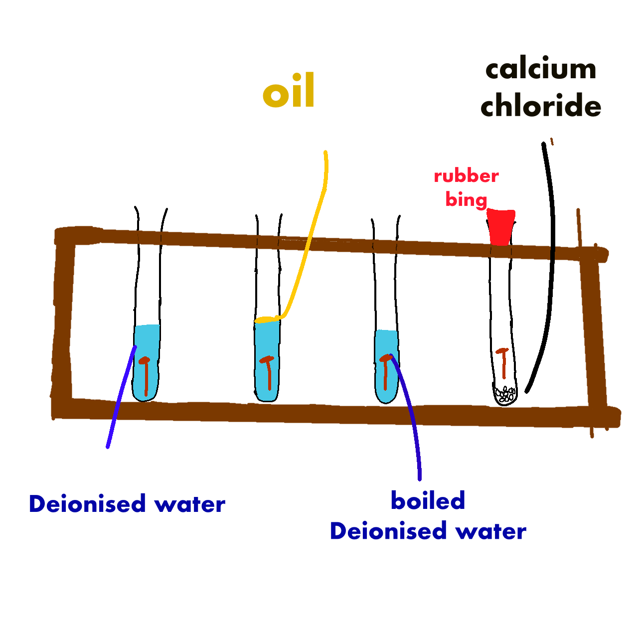 <table style="minWidth: 100px"><colgroup><col><col><col><col></colgroup><tbody><tr><td colspan="1" rowspan="1"><p>Test Tube</p></td><td colspan="1" rowspan="1"><p>Present</p></td><td colspan="1" rowspan="1"><p>Rusting observed</p></td><td colspan="1" rowspan="1"><p>Reason</p></td></tr><tr><td colspan="1" rowspan="1"><p>A</p></td><td colspan="1" rowspan="1"><p>&nbsp;</p></td><td colspan="1" rowspan="1"><p>&nbsp;</p></td><td colspan="1" rowspan="1"><p>&nbsp;</p></td></tr><tr><td colspan="1" rowspan="1"><p>B</p></td><td colspan="1" rowspan="1"><p>&nbsp;</p></td><td colspan="1" rowspan="1"><p>&nbsp;</p></td><td colspan="1" rowspan="1"><p>&nbsp;</p></td></tr><tr><td colspan="1" rowspan="1"><p>C</p></td><td colspan="1" rowspan="1"><p>&nbsp;</p></td><td colspan="1" rowspan="1"><p>&nbsp;</p></td><td colspan="1" rowspan="1"><p>&nbsp;</p></td></tr><tr><td colspan="1" rowspan="1"><p>&nbsp;D</p></td><td colspan="1" rowspan="1"><p>&nbsp;</p></td><td colspan="1" rowspan="1"><p>&nbsp;</p></td><td colspan="1" rowspan="1"><p>&nbsp;</p></td></tr></tbody></table><p></p>