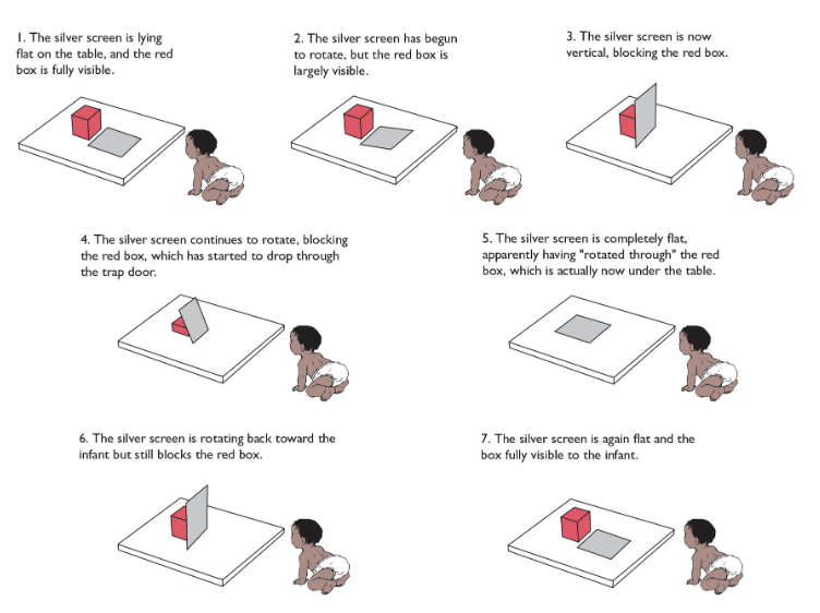 <p>testing objects permanence in young infants&nbsp;</p>