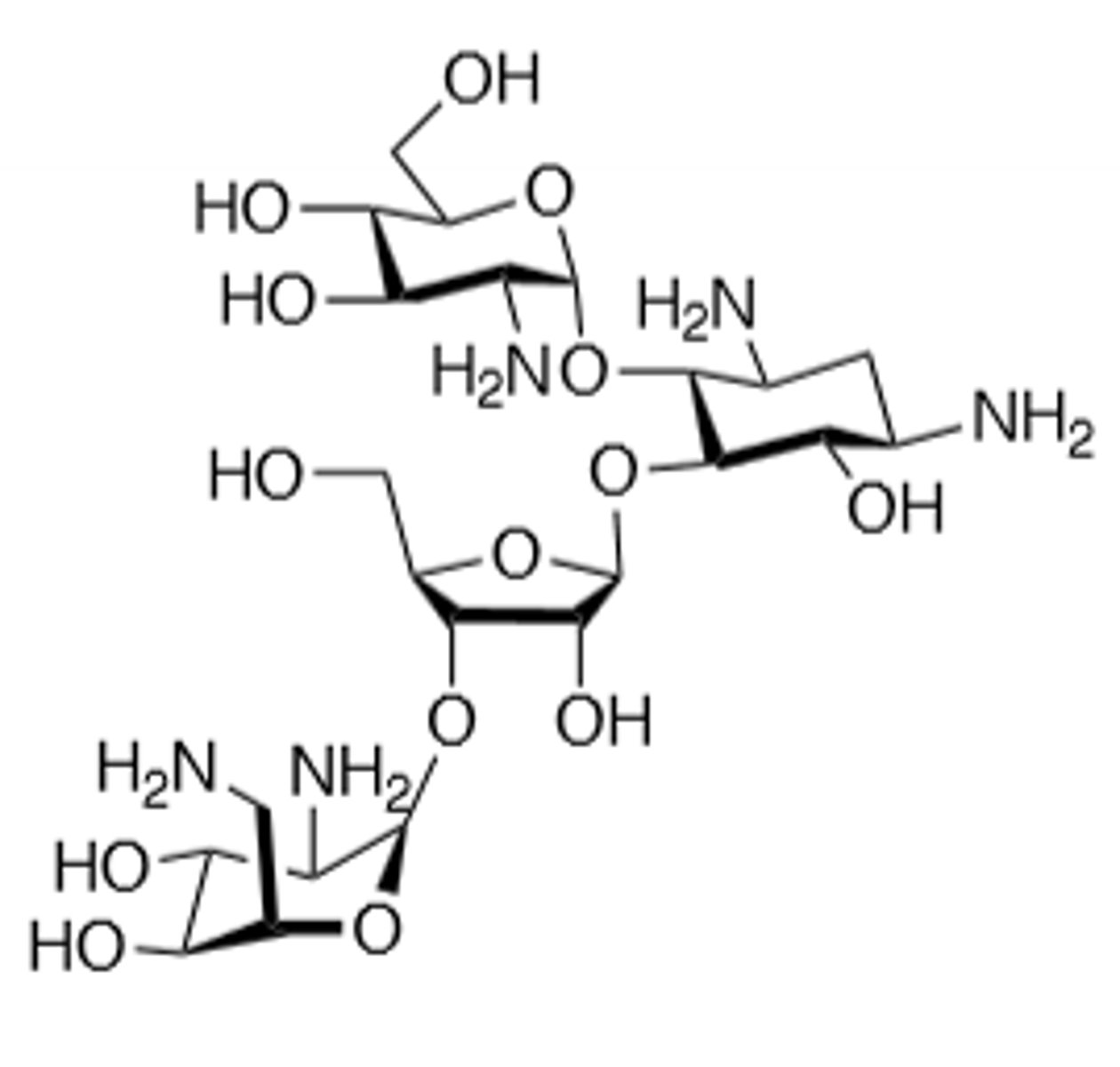 <p>Orally used aminoglycoside, suppress flora in travelers diarrhea, prophylactic GI surgery use. Treat amoebic dysentery as well as dwarf tapeworm and beef tapeworm. Ototoxic, nephrotoxic, can induce neuromuscular blockade, binds to 30S subunit and cause a frame shift mutation, inactivated by acetylation, adenylation, and phosphorylation, displace Mg and Ca ions to make membrane more permeable in gram (-), do not mix with penicillin, toxicity more likely if treatment exceeds 5 days, teratogen.</p>
