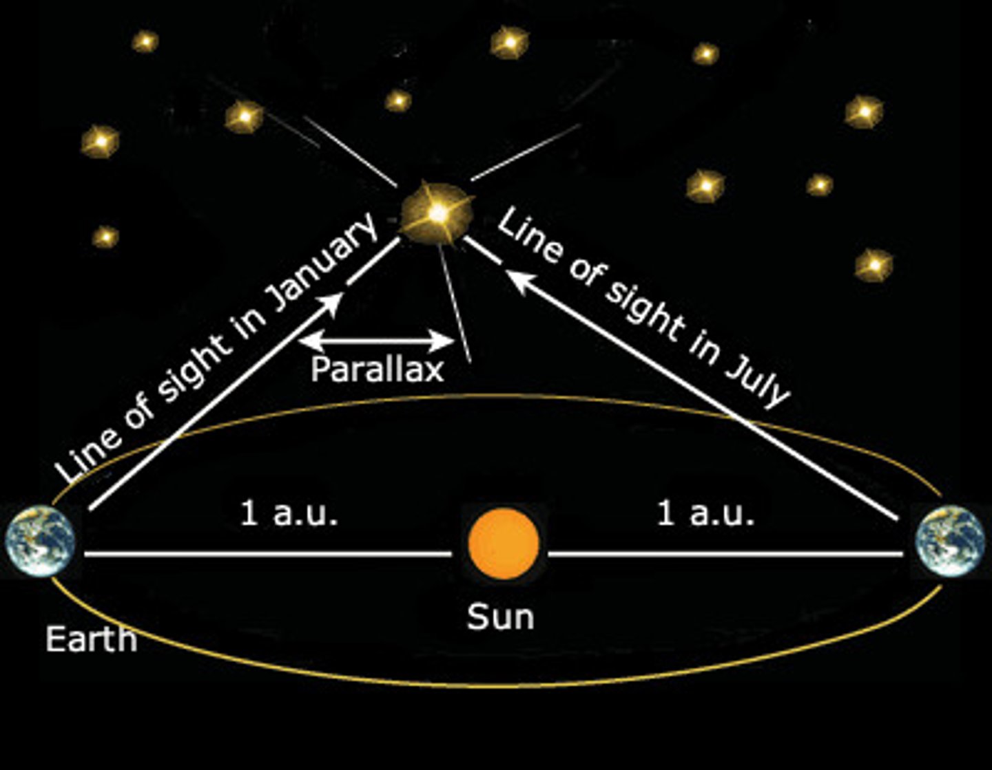 <p>The apparent shift in position of a nearby star against the background of more distant stars as the Earth orbits the Sun<br>- astronomers can triangulate its distance by observing a star's position relative to background stars at different times of the year<br>- observations taken six months apart when Earth is on opposite sides of its orbit<br>- The amount of shift observed is directly related to the distance to the star<br>- the closer the star, the larger the apparent shift</p>