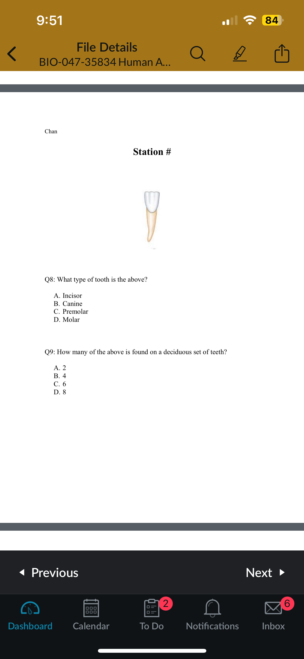 <p>Q9: How many of the above is found on a deciduous set of teeth?</p>