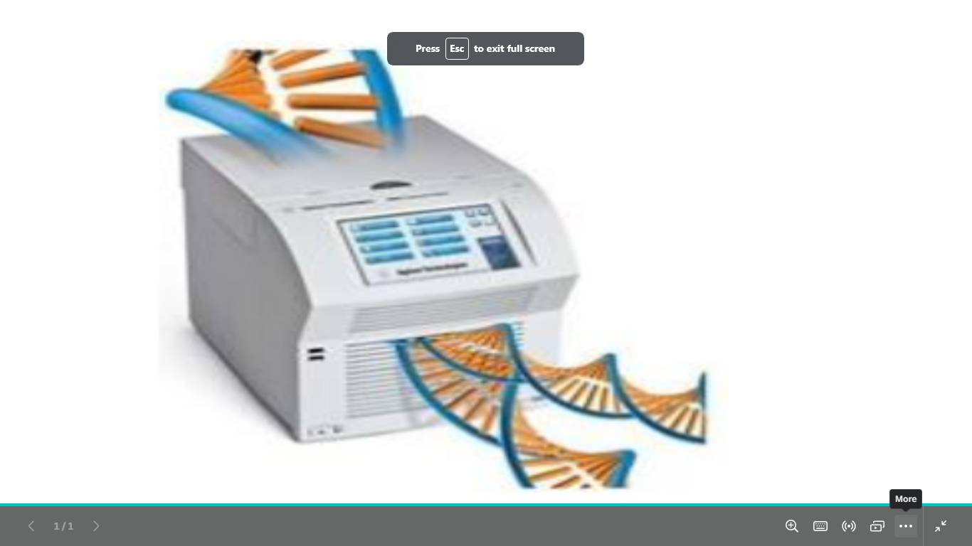 <p>name the dna amplification technique and </p><p>descripe it </p>