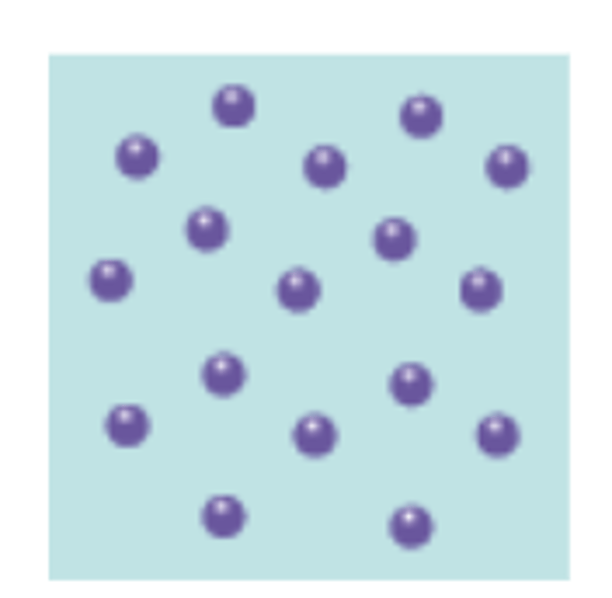 <p>Individuals in a population are distributed in a uniform pattern</p>