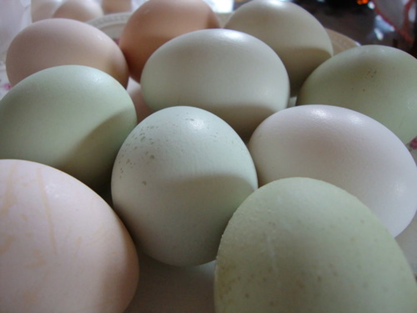 <p>eggs</p>