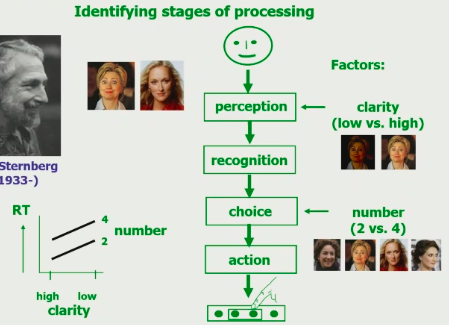 \~ aims to identify specific mental stages of processing

\
clarity of stimulus should influence the duration of __perception stage__

\
number of responses should influence the duration of the __choice stage__

\
→ there is no interaction of these two (see the graph), the add onto each other, leading to overall higher response time (?)