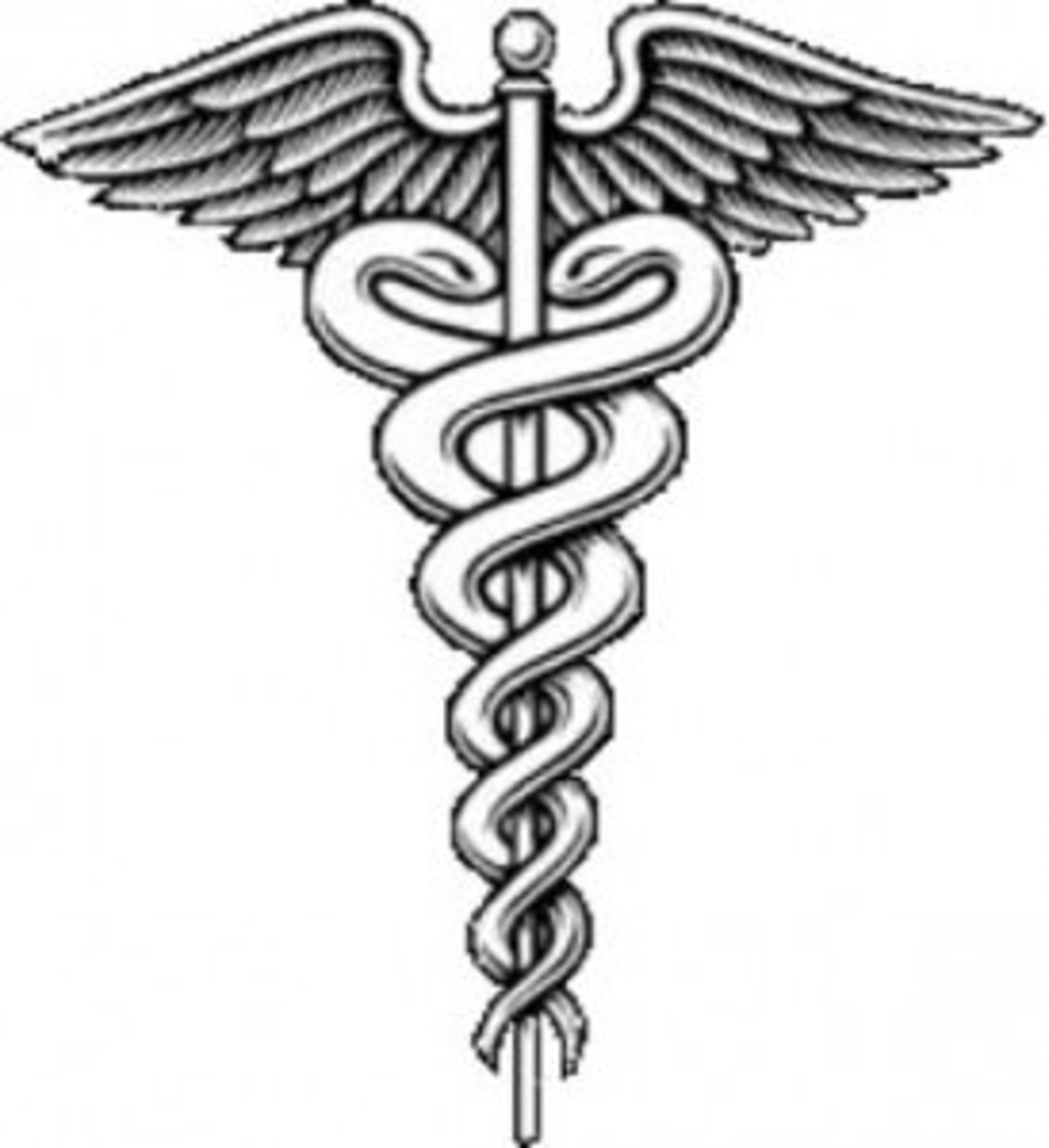 <p>Health Services Technician</p>