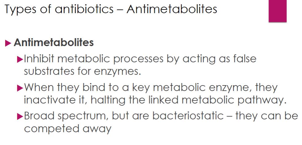 <p>Antimetabolites</p>