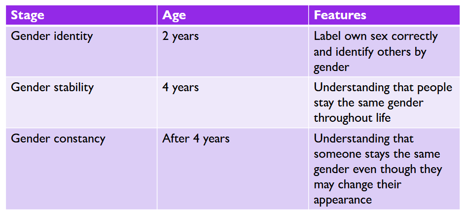 <p>Social-cognitive theories (gender)</p><p>_________________ - <strong>Emphasize the caregivers’ role in shaping sex-role behaviours and attitudes</strong></p><ul><li><p><strong>Gender identity</strong>: <span>Label own sex correctly and identify others by gender (2yrs)</span></p></li><li><p><strong>Gender stability:</strong> <span>Understanding that people stay the same gender throughout life (4yrs)</span></p></li><li><p><strong>Gender constancy</strong>: <span>Understanding that someone stays the same gender even though they may change their appearance (&lt;4yrs)</span></p></li></ul><p></p>