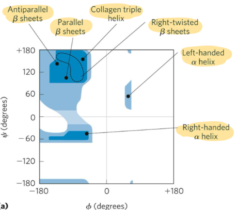 <p>visualize phi and psi angles to test quality of structure</p><p>!!ci</p>