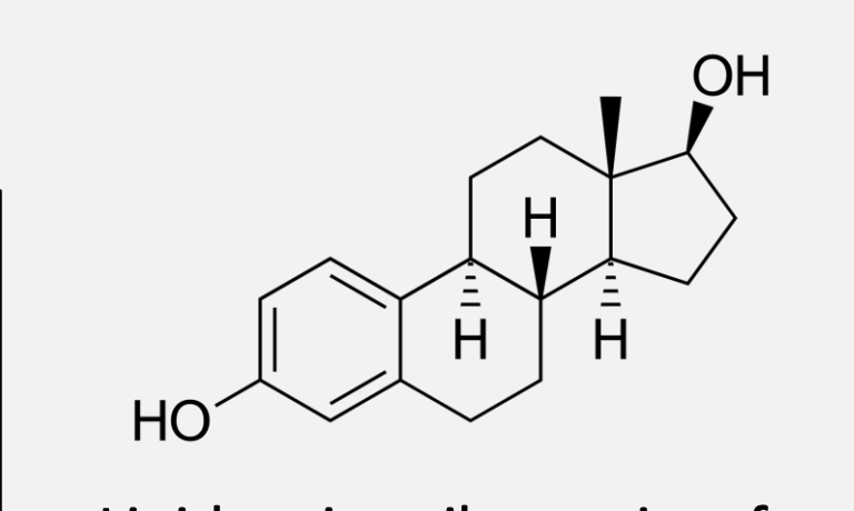 <ul><li><p>four rings, consist of C - H covalent bonds→ non polar</p></li><li><p>b/c of this→ Hydrophobic </p></li></ul><p></p>