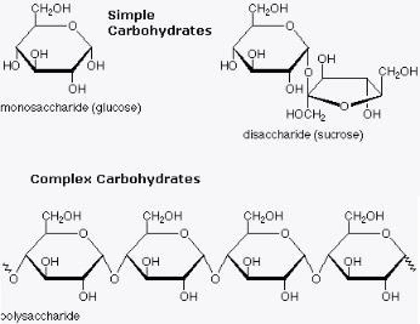 <p>Monosaccharides (simple sugar) - disaccharides polysaccharides</p>